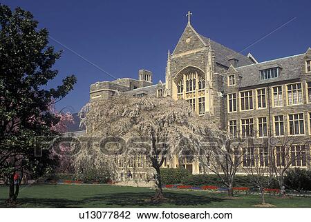 Georgetown, university, Washington, DC, District of Columbia, White-Gravenor Building on the campus of Georgetown University in the spring in Georgetown. View Large Photo Image Stock Image - Georgetown, university, Washington, DC, District of Columbia, White-Gravenor Building on the campus of Georgetown University in the spring in Georgetown.. Fotosearch