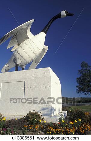 goose, Canada, Wawa, Ontario, Statue of Canadian wild goose at the Wawa Visitor Center in Ontario. View Large Photo Image Stock Image - goose, Canada, Wawa, Ontario, Statue of Canadian wild goose at the Wawa Visitor Center in Ontario.. Fotosearch