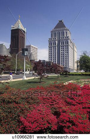 Greensboro, NC, North Carolina, Skyline of downtown Greensboroand azalea View Large Photo Image Stock Image - Greensboro, NC, North Carolina, Skyline of downtown Greensboroand azalea. Fotosearch