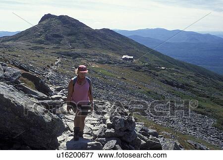hiking, Mount Washington, NH, White Mountain National Forest, New Hampshire, Woman hiking the Appalachian Trail on Mount Washington in the White Mountain Nat'l Forest. View Large Photo Image Stock Photo - hiking, Mount Washington, NH, White Mountain National Forest, New Hampshire, Woman hiking the Appalachian Trail on Mount Washington in the White Mountain Nat'l Forest.. Fotosearch
