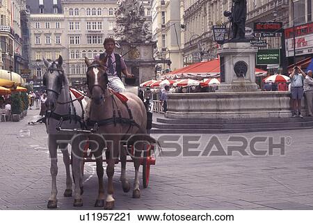 horse drawn carriage, Vienna, Austria, Wien, Carriage tour on Graben Street in downtown Vienna. View Large Photo Image Stock Image - horse drawn carriage, Vienna, Austria, Wien, Carriage tour on Graben Street in downtown Vienna.. Fotosearch
