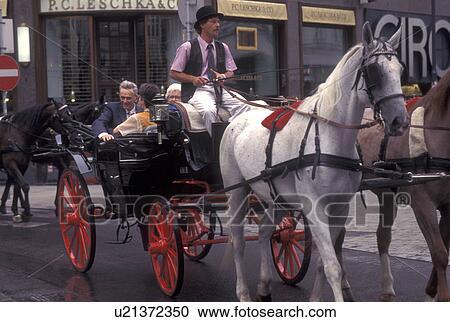horse drawn carriage, Vienna, Austria, Wien, Carriage tour on Graben Street in downtown Vienna. View Large Photo Image Stock Image - horse drawn carriage, Vienna, Austria, Wien, Carriage tour on Graben Street in downtown Vienna.. Fotosearch