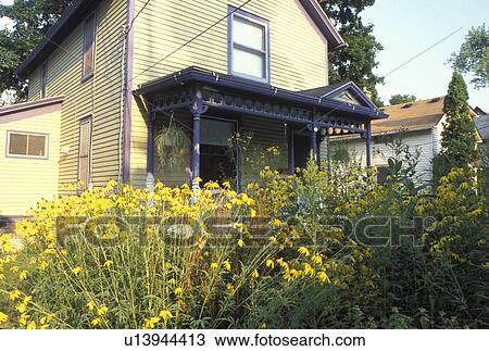 house, wildflowers, Ann Arbor, MI, Michigan, Wildflowers growing in the front yard of a house in Ann Arbor. View Large Photo Image Stock Image - house, wildflowers, Ann Arbor, MI, Michigan, Wildflowers growing in the front yard of a house in Ann Arbor.. Fotosearch