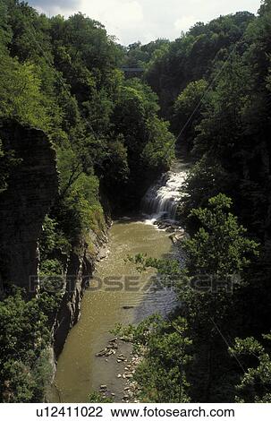 Ithaca, NY, New York, Finger Lakes, Aerial view of waterfalls along Fall Creek. View Large Photo Image Stock Image - Ithaca, NY, New York, Finger Lakes, Aerial view of waterfalls along Fall Creek.. Fotosearch