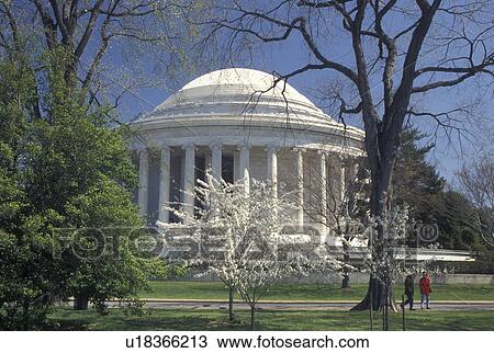 Stock Image -  Jefferson Memorial, Washington, DC, District of Columbia, The Thomas Jefferson Memorial and cherry blossoms in the spring in Washington, D. C.. Fotosearch