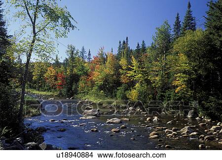 Picture -  Lake Placid, The Adirondacks, NY, New York, Scenic Ausable River in Lake Placid in the autumn. . Fotosearch