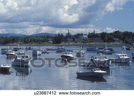 lobster boats, Bass Harbor, ME, Maine, Mount Desert Island, Lobster fishing boats buoyed in the harbor in the fishing village of Bass Harbor on the Atlantic Ocean. View Large Photo Image Stock Image - lobster boats, Bass Harbor, ME, Maine, Mount Desert Island, Lobster fishing boats buoyed in the harbor in the fishing village of Bass Harbor on the Atlantic Ocean.. Fotosearch