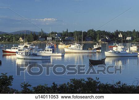 lobster boats, Bass Harbor, Mount Desert Island, ME, Maine, View of lobster fishing boats buoyed in the harbor in the fishing village of Bass Harbor on the Atlantic Ocean. View Large Photo Image Stock Image - lobster boats, Bass Harbor, Mount Desert Island, ME, Maine, View of lobster fishing boats buoyed in the harbor in the fishing village of Bass Harbor on the Atlantic Ocean.. Fotosearch