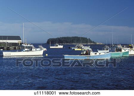 lobster boats, Corea, ME, Maine, Lobster fishing boats buoyed in the harbor in the fishing village of Corea on the Atlantic Ocean. View Large Photo Image Stock Image - lobster boats, Corea, ME, Maine, Lobster fishing boats buoyed in the harbor in the fishing village of Corea on the Atlantic Ocean.. Fotosearch