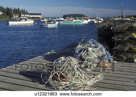 Stock Image -  lobster boats, Corea, ME, Maine, Lobster traps and buoys on a dock. Lobster fishing boats buoyed in the harbor in the fishing village of Corea on the Atlantic Ocean.. Fotosearch