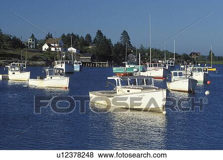 Stock Photo -  lobster boats, ME, Corea, Maine, Lobster fishing boats buoyed in the harbor in the fishing village of Corea on the Atlantic Ocean.. Fotosearch