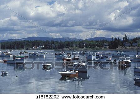 lobster boats, ME, Maine, Bass Harbor, Mount Desert Island, Lobster fishing boats buoyed in the harbor in the fishing village of Bass Harbor on the Atlantic Ocean. View Large Photo Image Stock Image - lobster boats, ME, Maine, Bass Harbor, Mount Desert Island, Lobster fishing boats buoyed in the harbor in the fishing village of Bass Harbor on the Atlantic Ocean.. Fotosearch