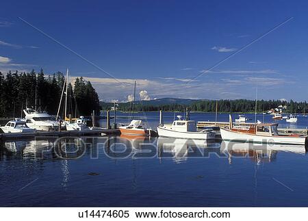 Stock Photography -  lobster boats, ME, Maine, Bass Harbor, Mount Desert Island, View of lobster fishing boats buoyed in the harbor in the fishing village of Bass Harbor on the Atlantic Ocean.. Fotosearch