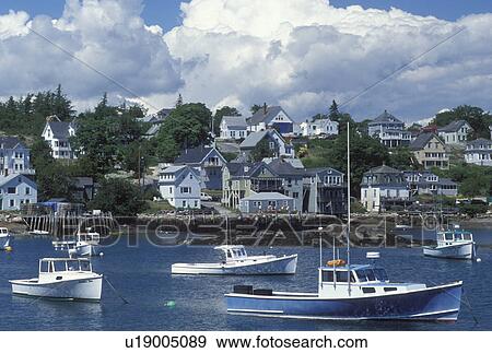 lobster boats, ME, Stonington, Maine, Deer Isle, Lobster boats buoyed in the harbor of the lobstering village of Stonington on Deer Isle on the Atlantic Ocean. View Large Photo Image Stock Photo - lobster boats, ME, Stonington, Maine, Deer Isle, Lobster boats buoyed in the harbor of the lobstering village of Stonington on Deer Isle on the Atlantic Ocean.. Fotosearch