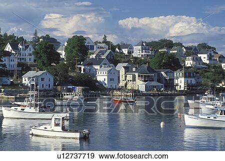 lobster boats, Stonington, ME, Maine, Deer Isle, Lobster boats buoyed in the harbor of the lobstering village of Stonington on Deer Isle on the Atlantic Ocean. View Large Photo Image Stock Photo - lobster boats, Stonington, ME, Maine, Deer Isle, Lobster boats buoyed in the harbor of the lobstering village of Stonington on Deer Isle on the Atlantic Ocean.. Fotosearch