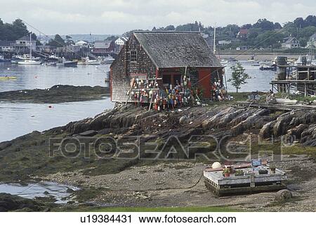 lobster shack, ME, Maine, Lobster shack at low tide in the harbor of Bayley Island on Casco Bay. View Large Photo Image Stock Image -  lobster shack, ME, Maine, Lobster shack at low tide in the harbor of Bayley Island on Casco Bay.. Fotosearch