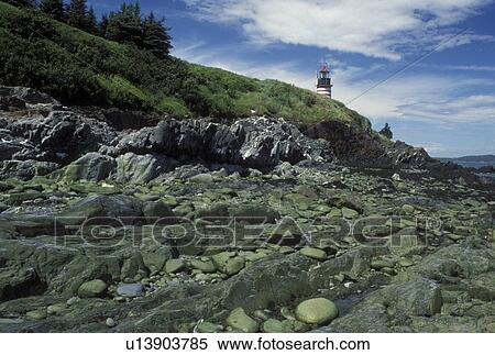 Lubec, ME, Maine, Bay of Fundy, West Quoddy Head Lighthouse at Quoddy Head State Park along the rocky coastline on the Atlantic Ocean. View Large Photo Image Stock Photography - Lubec, ME, Maine, Bay of Fundy, West Quoddy Head Lighthouse at Quoddy Head State Park along the rocky coastline on the Atlantic Ocean.. Fotosearch