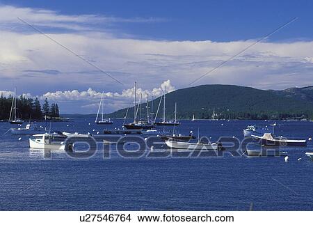 Manset, ME, Maine, Mount Desert Island, View of boats buoyed in the harbor in the fishing village of Manset on the Atlantic Ocean. View Large Photo Image Picture - Manset, ME, Maine, Mount Desert Island, View of boats buoyed in the harbor in the fishing village of Manset on the Atlantic Ocean.. Fotosearch