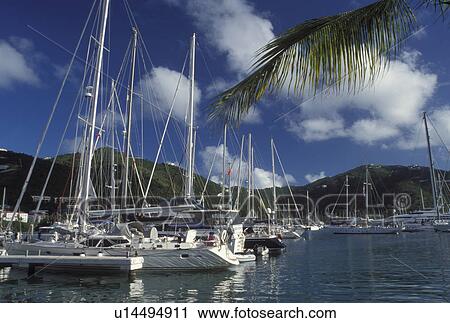 marina, Caribbean, Tortola, British Virgin Islands, Road Town, BVI, Boats docked in Road Bay in Road Town on the island of Tortola. View Large Photo Image Stock Image - marina, Caribbean, Tortola, British Virgin Islands, Road Town, BVI, Boats docked in Road Bay in Road Town on the island of Tortola.. Fotosearch