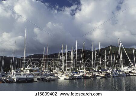 marina, Tortola, British Virgin Islands, Road Town, Caribbean, BVI, Boats docked in Road Bay in Road Town on the island of Tortola. View Large Photo Image Stock Image - marina, Tortola, British Virgin Islands, Road Town, Caribbean, BVI, Boats docked in Road Bay in Road Town on the island of Tortola.. Fotosearch