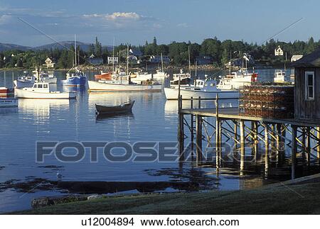 ME, Bass Harbor, Maine, Mount Desert Island, View of lobster fishing boats buoyed in the harbor in the fishing village of Bass Harbor on the Atlantic Ocean. View Large Photo Image Picture - ME, Bass Harbor, Maine, Mount Desert Island, View of lobster fishing boats buoyed in the harbor in the fishing village of Bass Harbor on the Atlantic Ocean.. Fotosearch