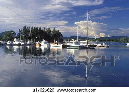 ME, Bass Harbor, Maine, Mount Desert Island, Boats in the harbor in the fishing village of Bass Harbor on the Atlantic Ocean. View Large Photo Image Stock Photograph - ME, Bass Harbor, Maine, Mount Desert Island, Boats in the harbor in the fishing village of Bass Harbor on the Atlantic Ocean.. Fotosearch