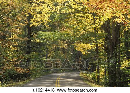 ME, Gilead, Maine, White Mountain National Forest, Colorful fall foliage along Route 113 in the White Mountain Nat'l Forest. View Large Photo Image Stock Photo - ME, Gilead, Maine, White Mountain National Forest, Colorful fall foliage along Route 113 in the White Mountain Nat'l Forest.. Fotosearch
