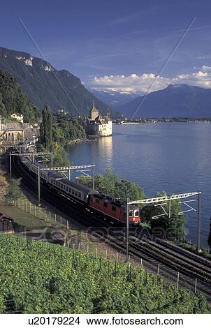 Montreux, Switzerland, Alps, Lake Geneva, Vaud, Train winds along the lakeshore of Lac Leman with a scenic view of the Alps and the Chateau de Chillon in the Canton of Vaud. View Large Photo Image Picture - Montreux, Switzerland, Alps, Lake Geneva, Vaud, Train winds along the lakeshore of Lac Leman with a scenic view of the Alps and the Chateau de Chillon in the Canton of Vaud. . Fotosearch