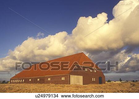 Netherlands, Holland, Groningen, Europe, farm, large barn, wheat field View Large Photo Image Picture - Netherlands, Holland, Groningen, Europe, farm, large barn, wheat field. Fotosearch