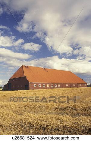 Netherlands, Holland, Groningen, Europe, farm, large barn, wheat field View Large Photo Image Picture - Netherlands, Holland, Groningen, Europe, farm, large barn, wheat field. Fotosearch
