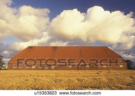 Netherlands, Holland, Groningen, Europe, farm, large barn, wheat field View Large Photo Image Stock Image - Netherlands, Holland, Groningen, Europe, farm, large barn, wheat field. Fotosearch