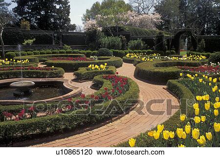 New Bern, garden, NC, North Carolina, Gardens of Tyron Palace at Tyron Palace Historic Sites and Gardens in New Bern. View Large Photo Image Stock Image - New Bern, garden, NC, North Carolina, Gardens of Tyron Palace at Tyron Palace Historic Sites and Gardens in New Bern.. Fotosearch