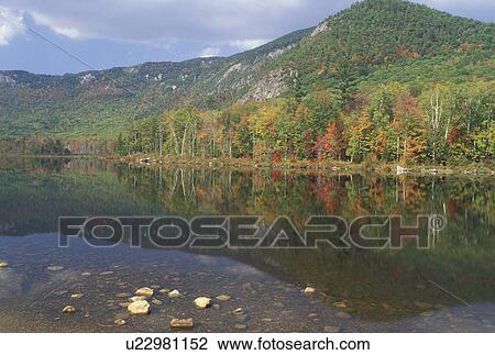 NH, Basin Pond, New Hampshire, White Mountain National Forest, Colorful fall foliage reflects in the calm waters of Basin Pond in the White Mountain Nat'l Forest in autumn. View Large Photo Image Stock Image - NH, Basin Pond, New Hampshire, White Mountain National Forest, Colorful fall foliage reflects in the calm waters of Basin Pond in the White Mountain Nat'l Forest in autumn.. Fotosearch