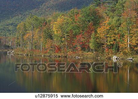 NH, Basin Pond, New Hampshire, White Mountain National Forest, Colorful fall foliage reflects in the calm waters of Basin Pond in the White Mountain Nat'l Forest in autumn. View Large Photo Image Stock Photography - NH, Basin Pond, New Hampshire, White Mountain National Forest, Colorful fall foliage reflects in the calm waters of Basin Pond in the White Mountain Nat'l Forest in autumn.. Fotosearch