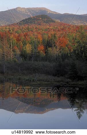 NH, Franconia, New Hampshire, White Mountain National Forest, Colorful fall foliage reflects in the calm waters of Lake Densmore in the White Mountain Nat'l Forest in autumn. View Large Photo Image Stock Image - NH, Franconia, New Hampshire, White Mountain National Forest, Colorful fall foliage reflects in the calm waters of Lake Densmore in the White Mountain Nat'l Forest in autumn.. Fotosearch