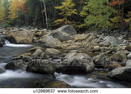 NH, Glen House, New Hampshire, White Mountain National Forest, Colorful fall foliage along the Peabody River in the White Mountain Nat'l Forest in autumn. View Large Photo Image Stock Photo - NH, Glen House, New Hampshire, White Mountain National Forest, Colorful fall foliage along the Peabody River in the White Mountain Nat'l Forest in autumn.. Fotosearch