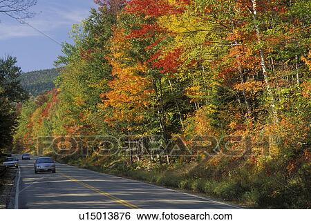 NH, New Hampshire, White Mountain National Forest, Merrimack River Valley, Scenic Kancamagus Highway surrounded by colorful fall foliage in the autumn in the White Mountain Nat'l Forest. View Large Photo Image Stock Photograph - NH, New Hampshire, White Mountain National Forest, Merrimack River Valley, Scenic Kancamagus Highway surrounded by colorful fall foliage in the autumn in the White Mountain Nat'l Forest.. Fotosearch
