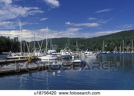 Stock Image -  Northeast Harbor, ME, Maine, Mount Desert Island, Boats docked at the marina in Northeast Harbor on the Atlantic Ocean.. Fotosearch