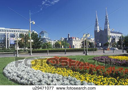 Stock Photo -  Ottawa, Canada, Ontario, Cathedral Basilica of Notre Dame from a city park in downtown Ottawa.. Fotosearch