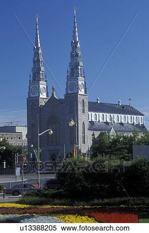 Ottawa, Ontario, Canada, Cathedral Basilica of Notre Dame from a city park in downtown Ottawa. View Large Photo Image Stock Photography - Ottawa, Ontario, Canada, Cathedral Basilica of Notre Dame from a city park in downtown Ottawa.. Fotosearch