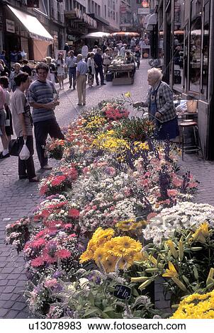 Stock Image -  outdoor market, Switzerland, Lausanne, Vaud, Flowers for sale at the open air market in the city of Lausanne.. Fotosearch