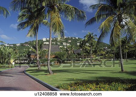 resort, hotel, St. John, U. S. Virgin Islands, Caribbean, USVI, The Westin Resort on Saint John Island. View Large Photo Image Stock Photo - resort, hotel, St. John, U. S. Virgin Islands, Caribbean, USVI, The Westin Resort on Saint John Island.. Fotosearch