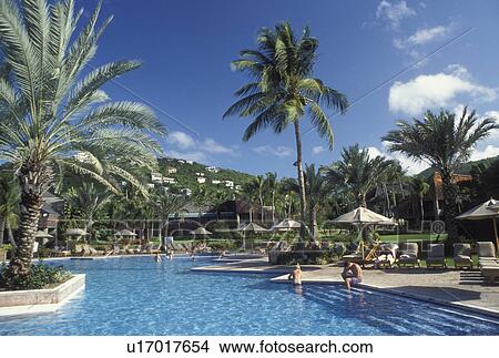 resort, pool, St. John, U. S. Virgin Islands, Caribbean, USVI, Swimming pool at the Westin Resort on Saint John Island. View Large Photo Image Picture - resort, pool, St. John, U. S. Virgin Islands, Caribbean, USVI, Swimming pool at the Westin Resort on Saint John Island.. Fotosearch