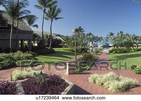 resort, U. S. Virgin Islands, St. John, Caribbean, USVI, The Westin Resort on Saint John Island. View Large Photo Image Picture - resort, U. S. Virgin Islands, St. John, Caribbean, USVI, The Westin Resort on Saint John Island.. Fotosearch