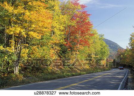 road, NH, New Hampshire, White Mountain National Forest, Merrimack River Valley, Scenic Kancamagus Highway surrounded by colorful fall foliage in the autumn in the White Mountain Nat'l Forest. View Large Photo Image Stock Photo - road, NH, New Hampshire, White Mountain National Forest, Merrimack River Valley, Scenic Kancamagus Highway surrounded by colorful fall foliage in the autumn in the White Mountain Nat'l Forest.. Fotosearch