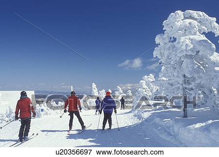 Stock Photo -  skiing, NH, New Hampshire, Franconia Notch State Park, People downhill skiing at Cannon Mountain Ski Resort in the White Mountains National Forest of New Hampshire in winter.. Fotosearch