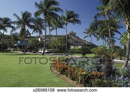 St. John, U. S. Virgin Islands, Caribbean, USVI, The Westin Resort on Saint John Island. View Large Photo Image Stock Photo - St. John, U. S. Virgin Islands, Caribbean, USVI, The Westin Resort on Saint John Island.. Fotosearch