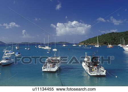 Stock Photography -  St. John, U. S. Virgin Islands, Caribbean, USVI, Boats buoyed on Cruz Bay on Saint John Island.. Fotosearch