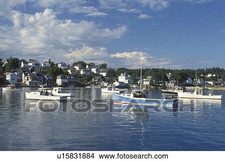 Stonington, ME, Maine, Deer Isle, Lobster boats buoyed in the harbor of the lobstering village of Stonington on Deer Isle on the Atlantic Ocean. View Large Photo Image Picture - Stonington, ME, Maine, Deer Isle, Lobster boats buoyed in the harbor of the lobstering village of Stonington on Deer Isle on the Atlantic Ocean.. Fotosearch