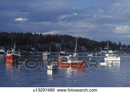 Stock Photo -  Stonington, ME, Maine, Deer Isle, Lobster boats buoyed in Burnt Cove in the lobstering village of Stonington on Deer Isle on the Atlantic Ocean.. Fotosearch